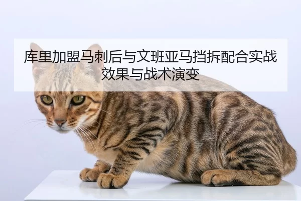 ku-li-jia-meng-ma-ci-hou-yu-wen-ban-ya-ma-dang-chai-pei-he-shi-zhan-xiao-guo-yu-zhan-shu-yan-bian-2-545.jpg